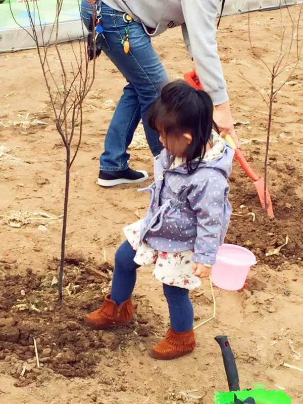 NYC纽约国际天津熙悦汇购物中心：【精彩回顾】”不负春光不负你”—NYC植树行