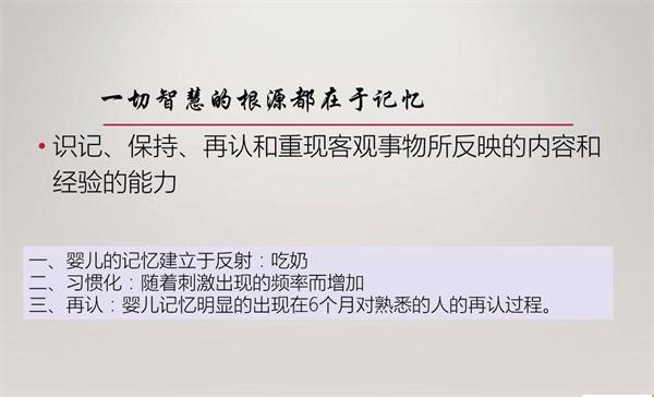 NYC纽约国际早教微课回顾：宝宝的记忆力需要被保护