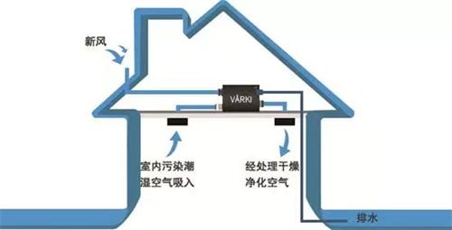 瑞典VARKI净松新风进入NYC国际早教