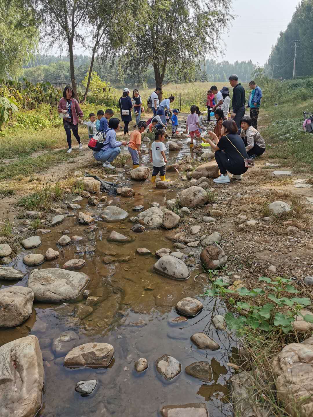 NYC纽约国际平谷中心：《欢乐农场》回顾